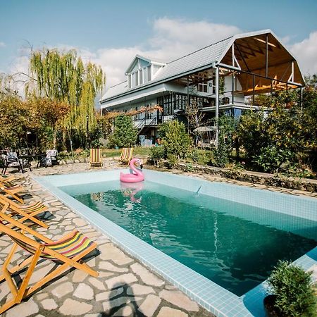 Hotel Chateau Dzveli Gavazi Akhalsopeli  Zewnętrze zdjęcie