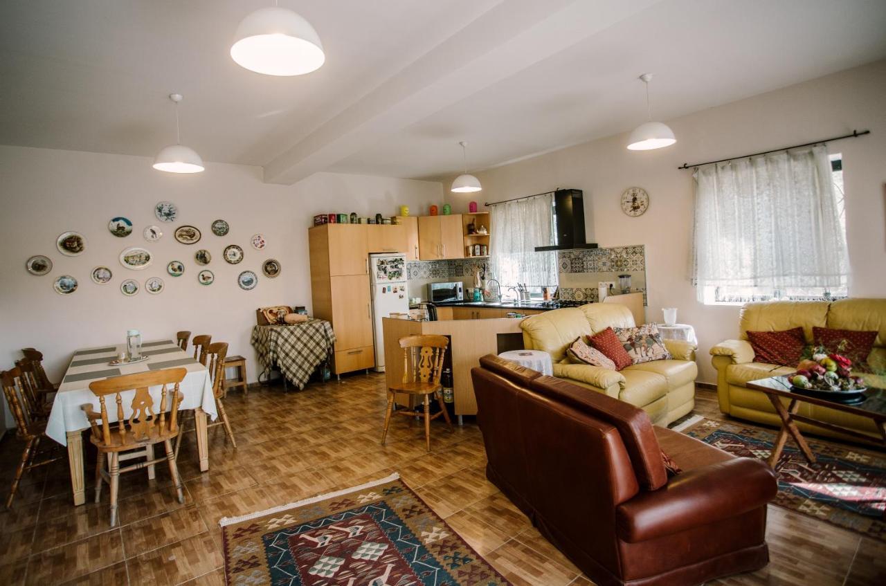 Hotel Chateau Dzveli Gavazi Akhalsopeli  Zewnętrze zdjęcie